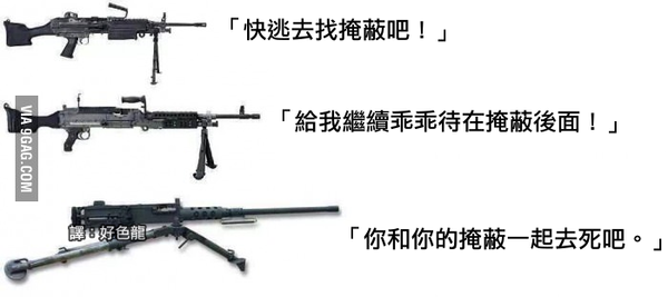 你和掩护一起去死